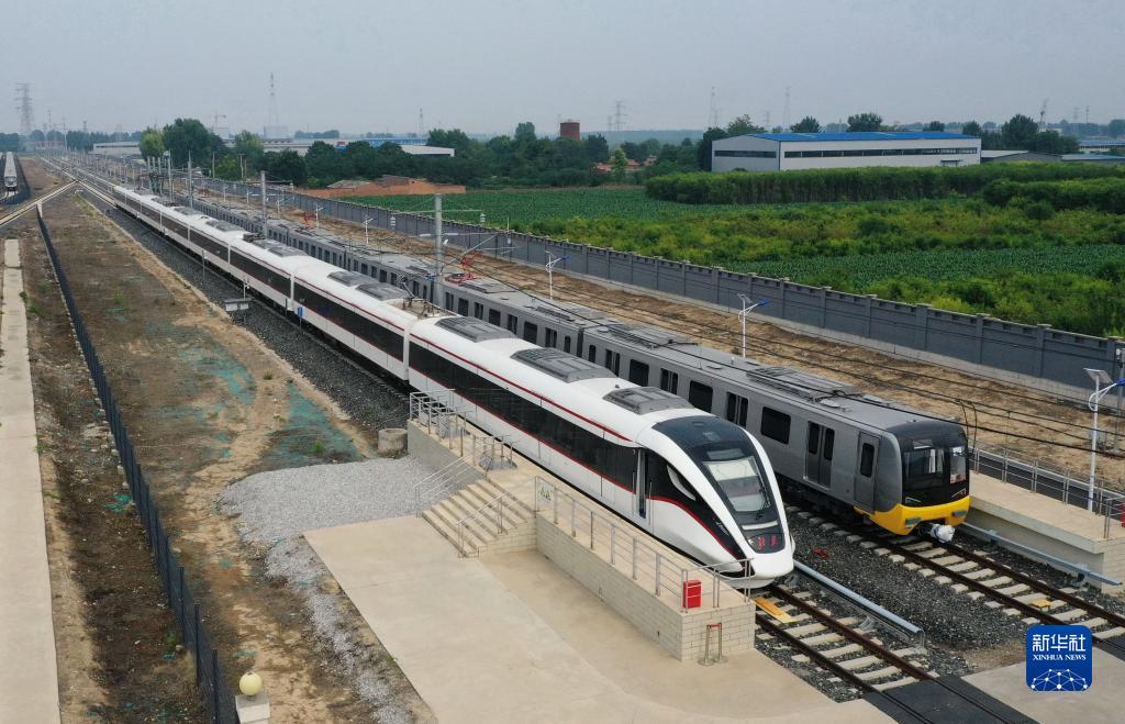 葡萄北京红